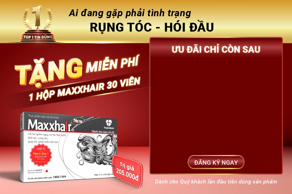 Artboard 1 copy@0.5x 1.webp